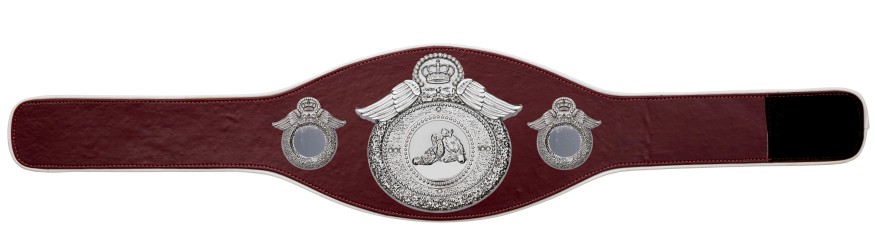 JIU JITSU CHAMPIONSHIP BELT-PROWING/S/JJS-6+ COLOURS JIU JITSU CHAMPIONSHIP BELT-PROWING/S/JJS-6+ COLOURS